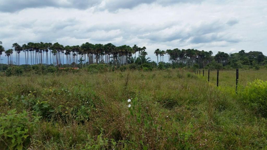 Vendo Lote en vereda La Llanerita