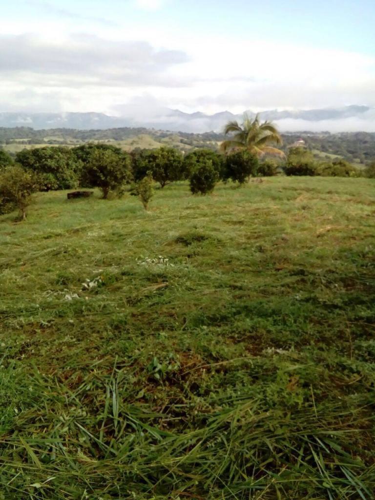 En Venta Terreno de 2 hectáreas. Tiene huerto jóven mango de azúcar. Proyección Finca Ecoturística