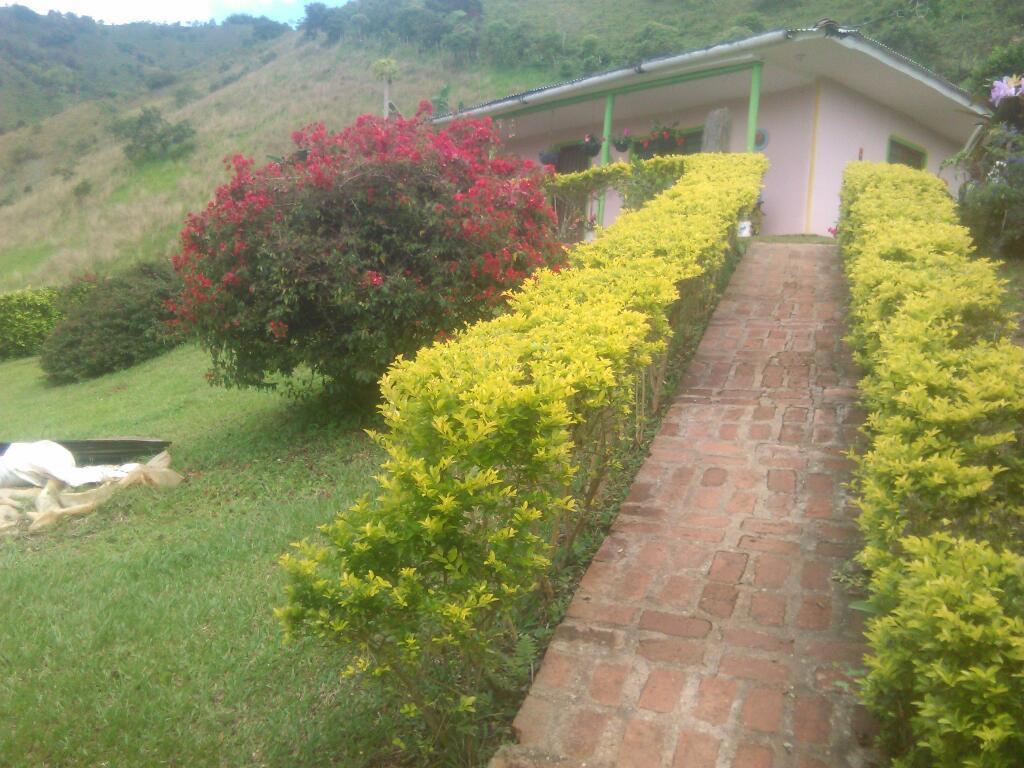 Vendo Casa Lote Km44 Via Cremal