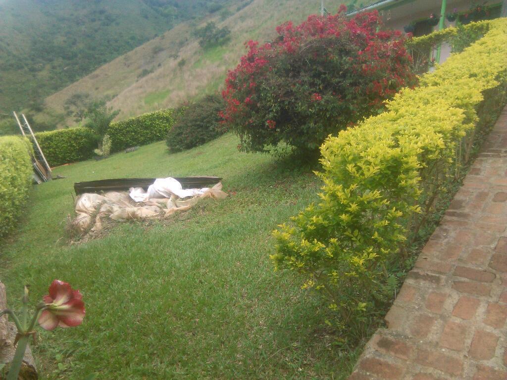 Vendo Casa Lote Km44 Via Cremal