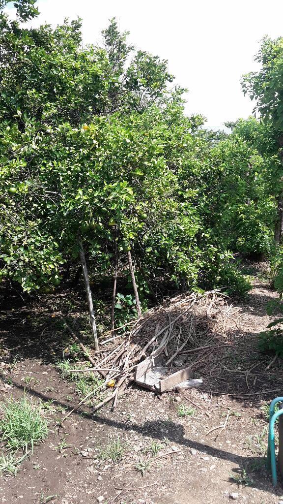 Se Vende Casa Campestre en Santa Elena