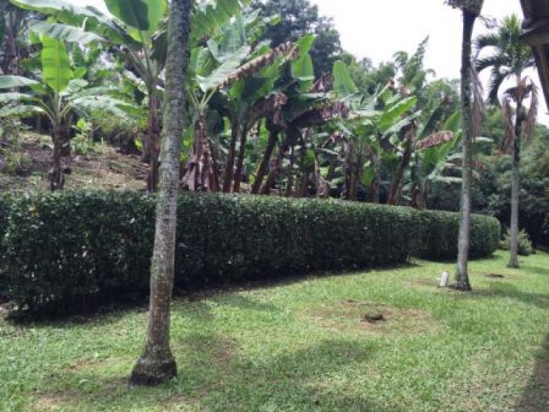 Cod. VBMUR1579 Finca En Venta En Amaga