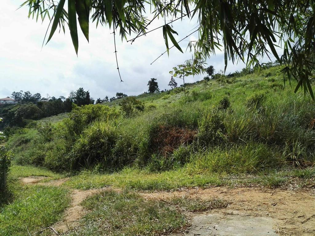 LOTE 12.000M2 VEREDA PALONEGRO HERMOSA VISTA