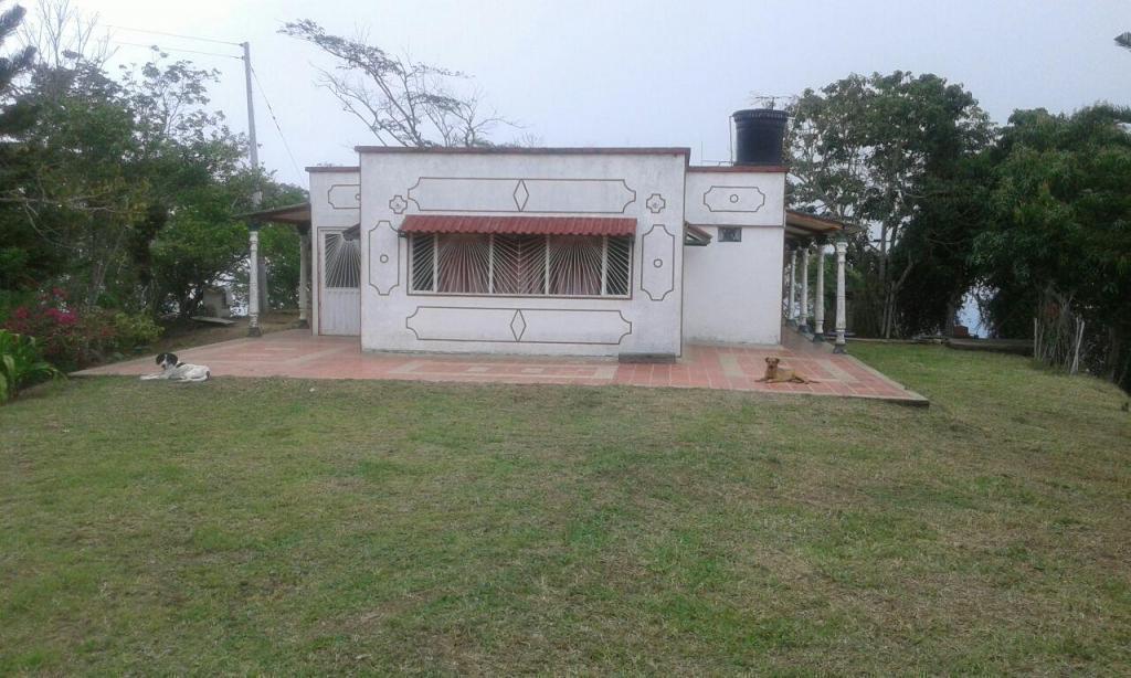 QUEBRADANEGRA , Venta de finca,con área de siete hectáreas, con casa, comunicarse al 3013506122