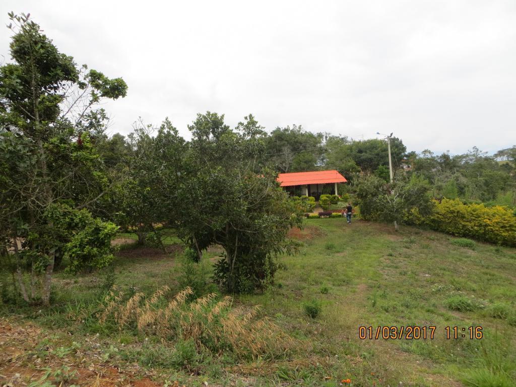 lote parcelacion terra nostra