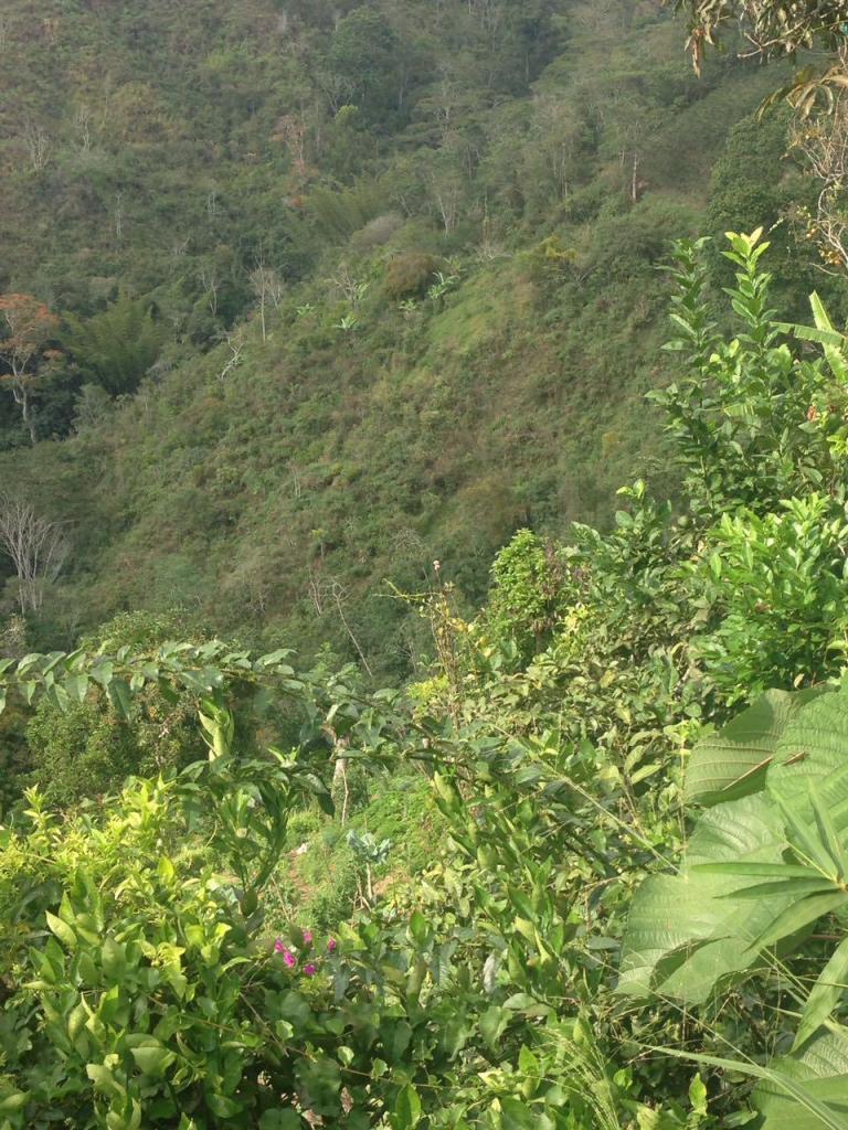 Se vende Finca Alto de los Padres