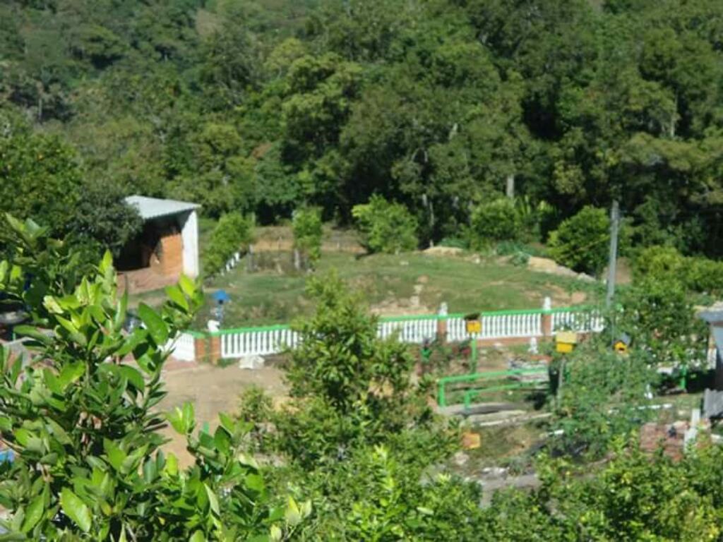 Finca en Charala