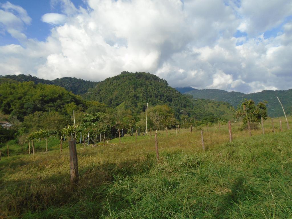 Venta de lote en la florida